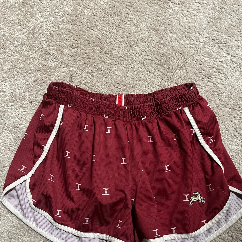 Tracksmith 2.5 whale Shorts